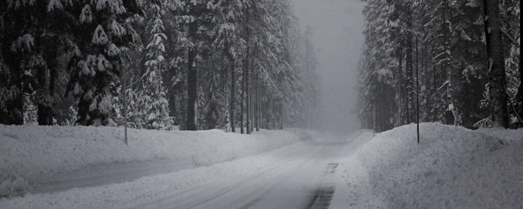 Snow-covered winter road through dense fir forest with serene peaceful snowy landscape background Wallpaper