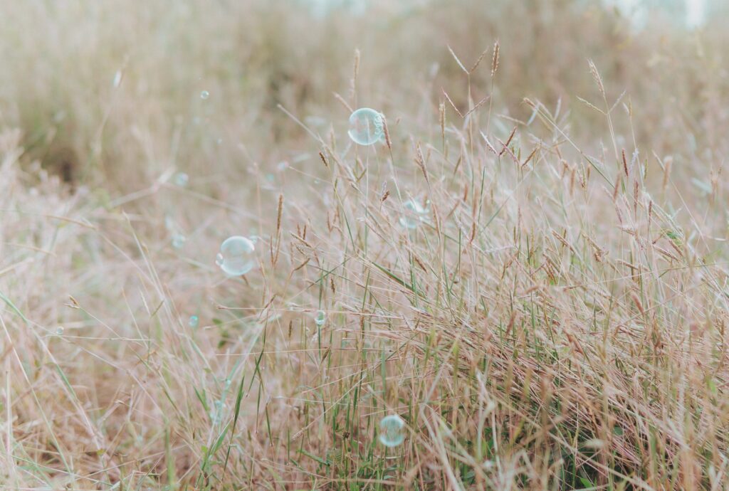 Serene Wallpaper: Macro Soap Bubbles in Sunlit Grass Field