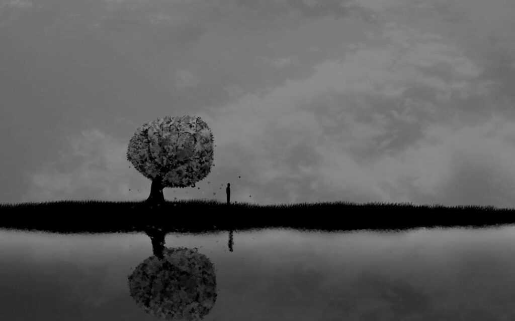 Tranquil Silhouetted Tree by Reflective Water - Serene Wallpaper