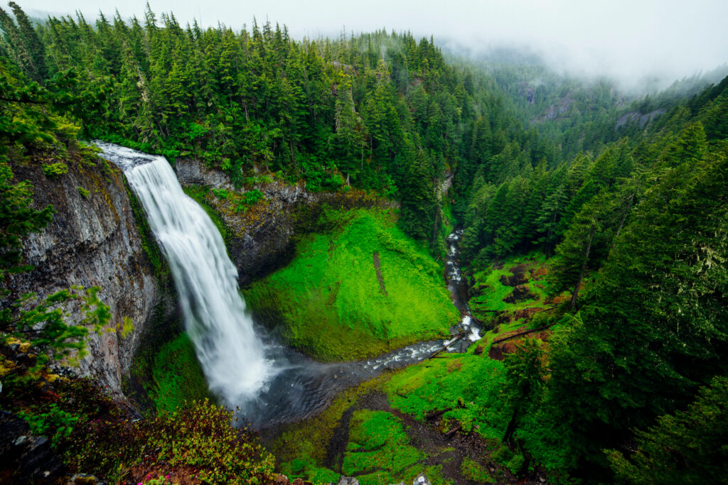 Serenity Unveiled: Captivating Green Landscape Embracing a Meandering Creek Originating from Cascading Waterfall Wallpaper