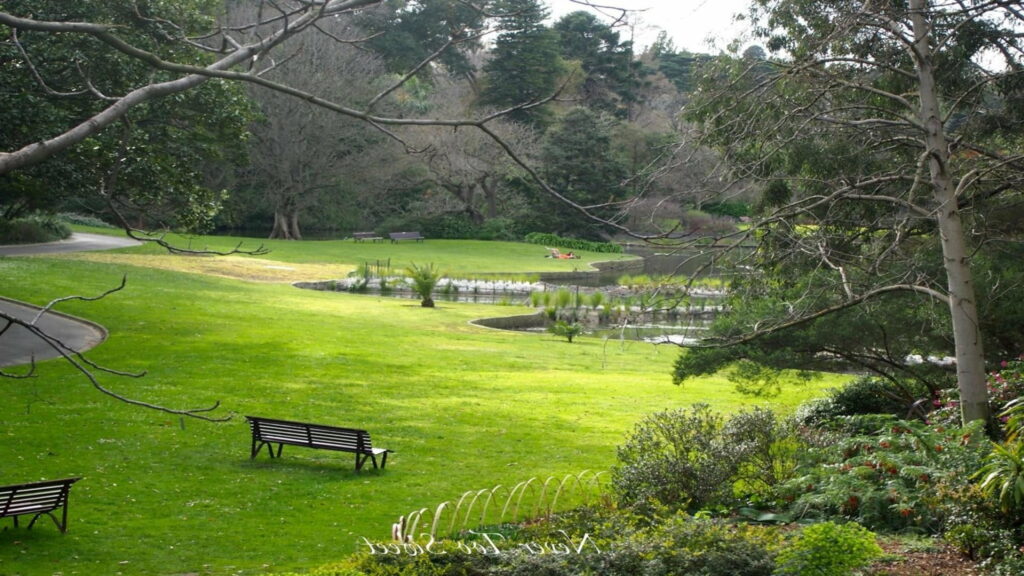 Enchanting Oasis: Exploring the Majestic Royal Botanic Gardens of Melbourne, Australia Wallpaper