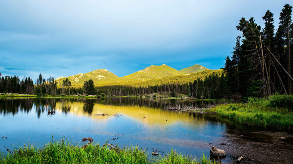 Serene Sprague Lake Wallpaper: Reflective Waters & Lush Mountains