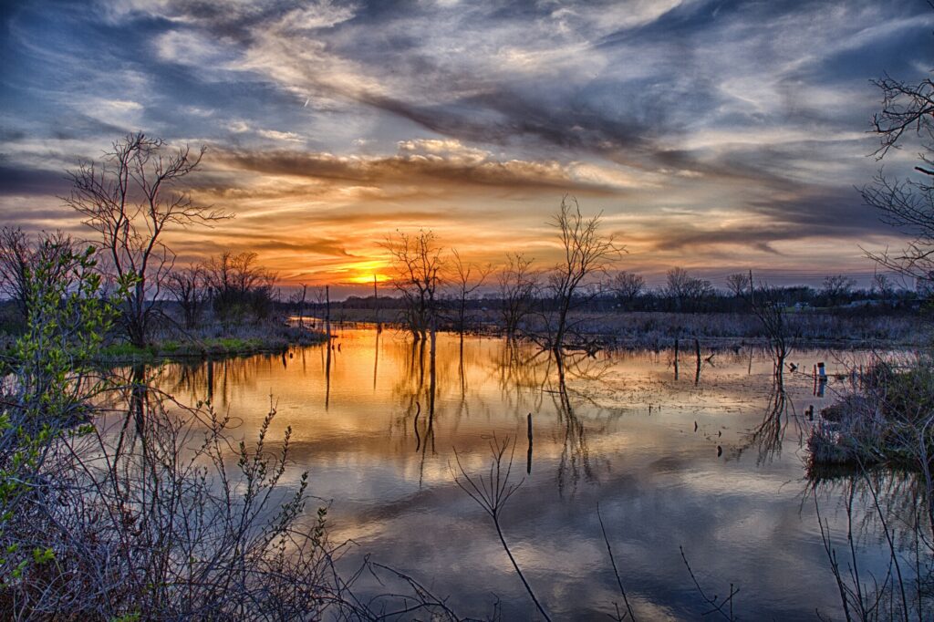 Serene spring floodwaters reflect dramatic sunset sky with bare trees and swirling clouds wallpaper