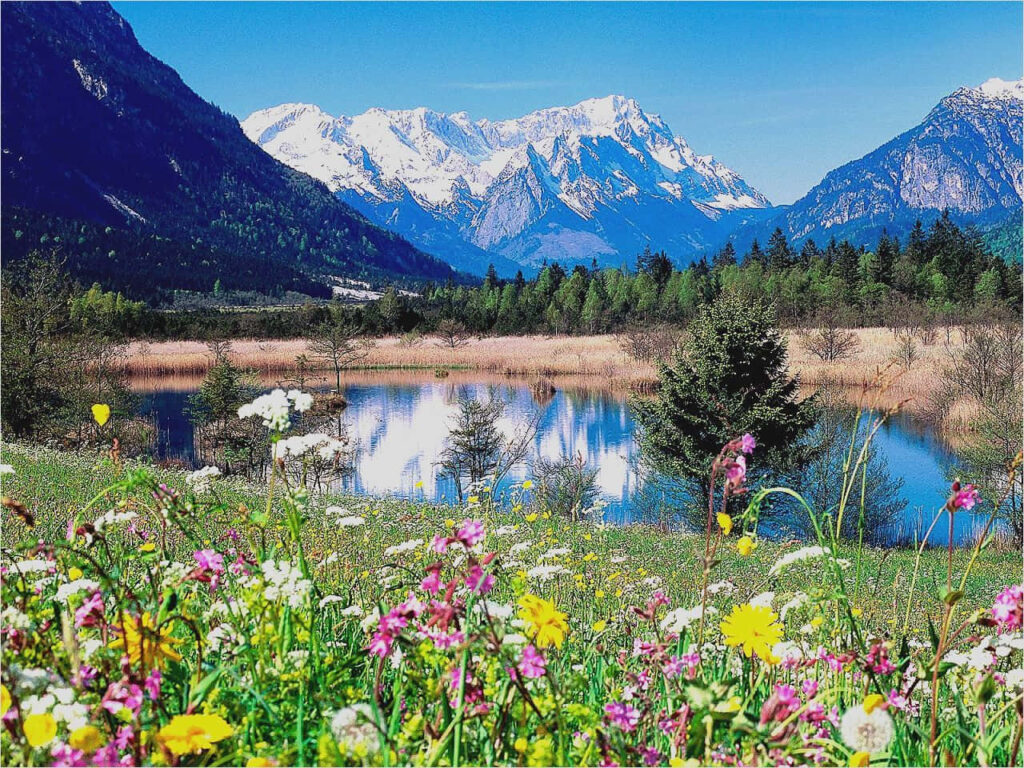 Serene Spring Landscape: Colorful Meadow, Lake & Snow-Capped Mountains Wallpaper