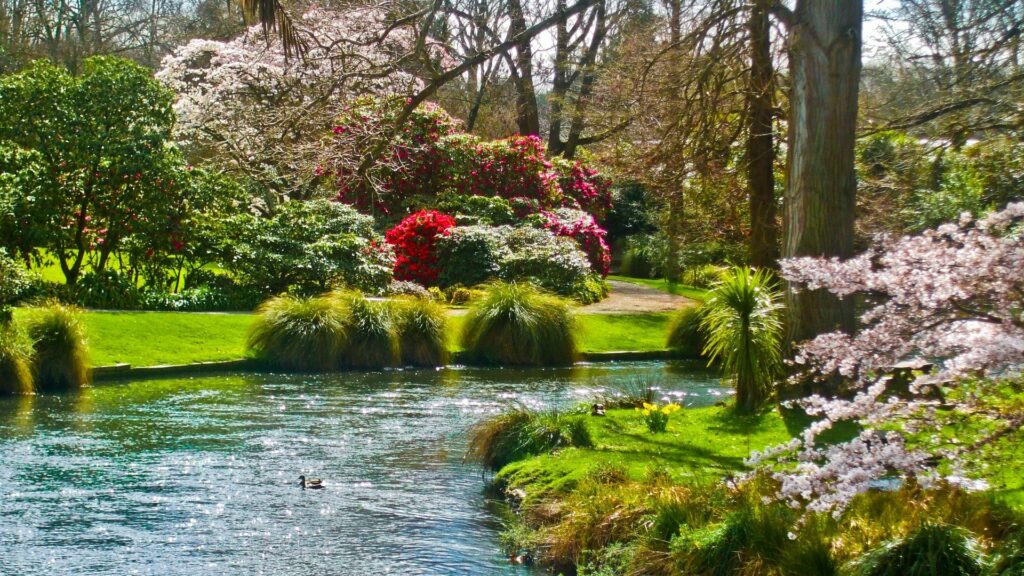 Peaceful spring pond with colorful blossoms lush greenery and tall trees reflecting sunlight Wallpaper