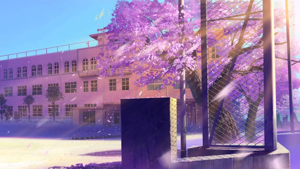 Serene anime schoolyard with cherry blossom tree petals falling in warm golden spring sunlight Wallpaper