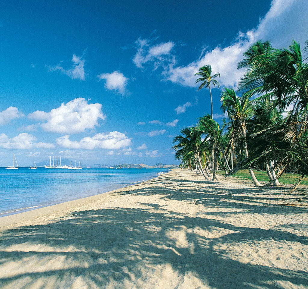 Serene St. Kitts Beach Wallpaper: Lush Palms & Turquoise Waters