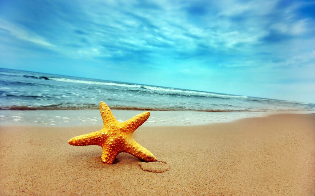 Tranquil Starfish Beach Wallpaper: Serene Sandy Background