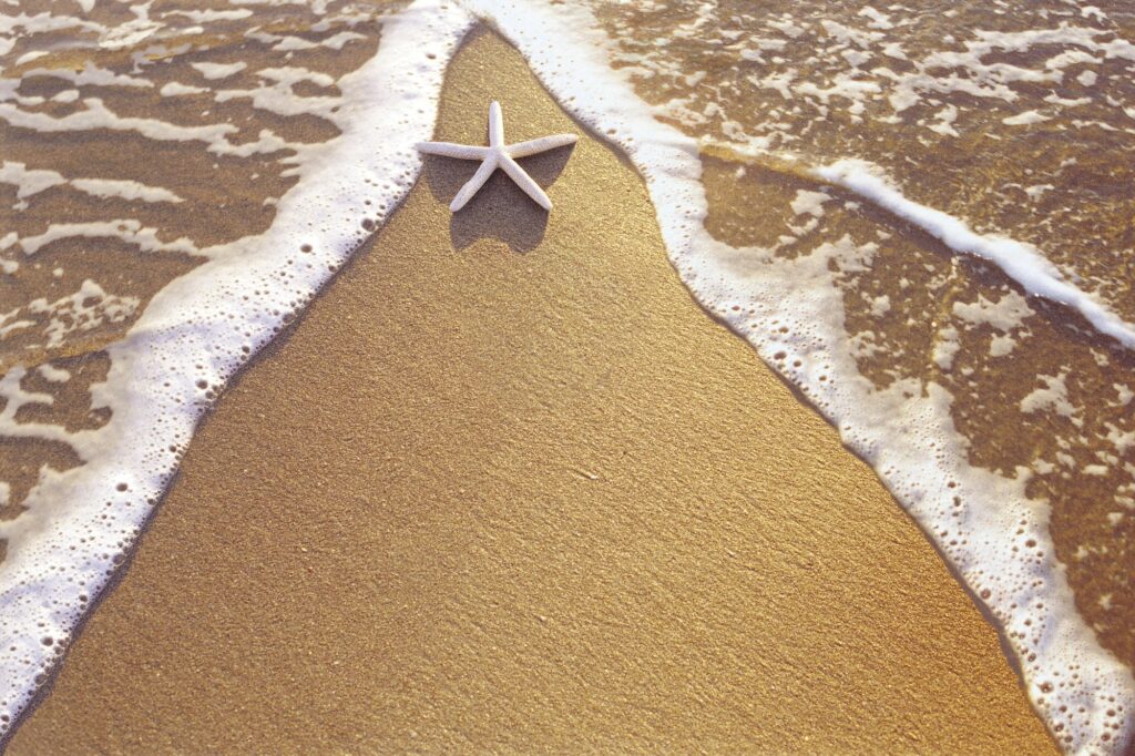 Starfish on golden sand with gentle sea foam and triangular waves serene coastal wallpaper