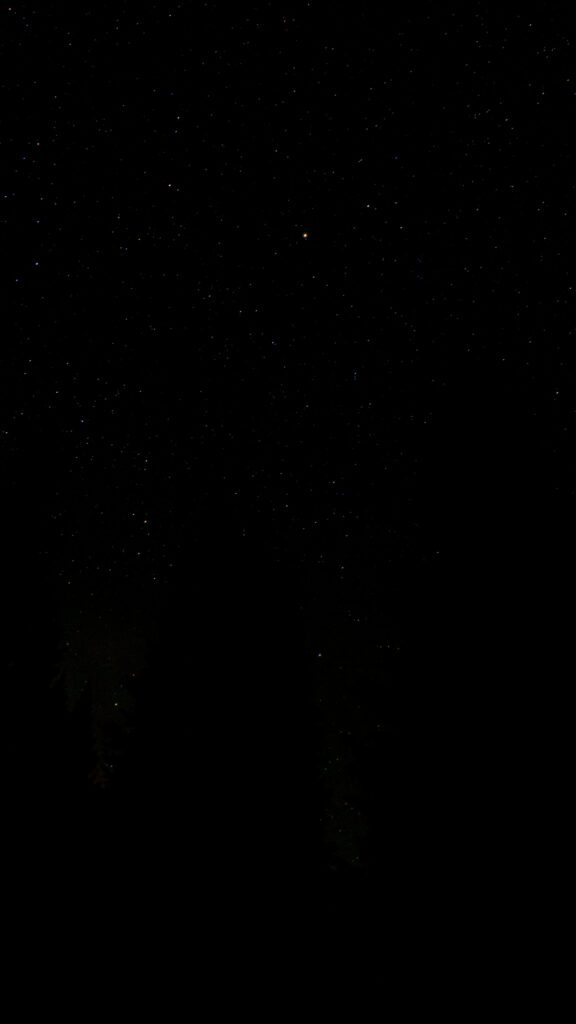 Serene Starry Night Sky Wallpaper with Tranquil Tree Silhouettes