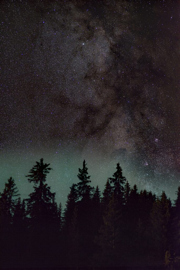 Serene night sky with spruce tree silhouettes under vibrant nebula and starry forest wallpaper background