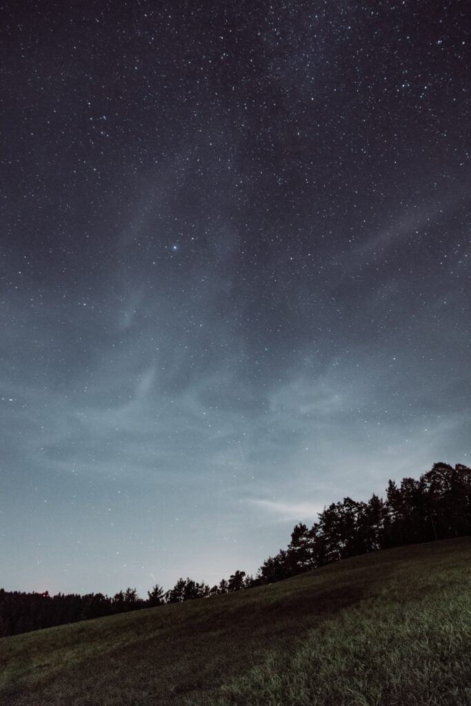 Tranquil starry night wallpaper with wide grassy field silhouetted trees peaceful dark sky