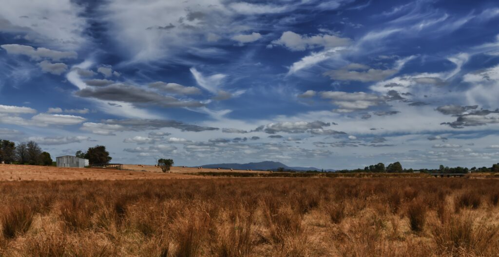 Vast golden steppe under dramatic blue sky with wispy clouds serene natural landscape wallpaper