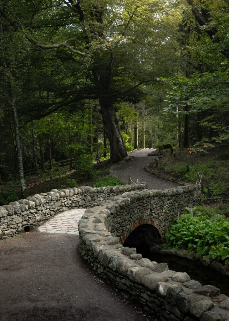 Serene stone bridge over calm stream leading to lush forest path with dappled sunlight wallpaper