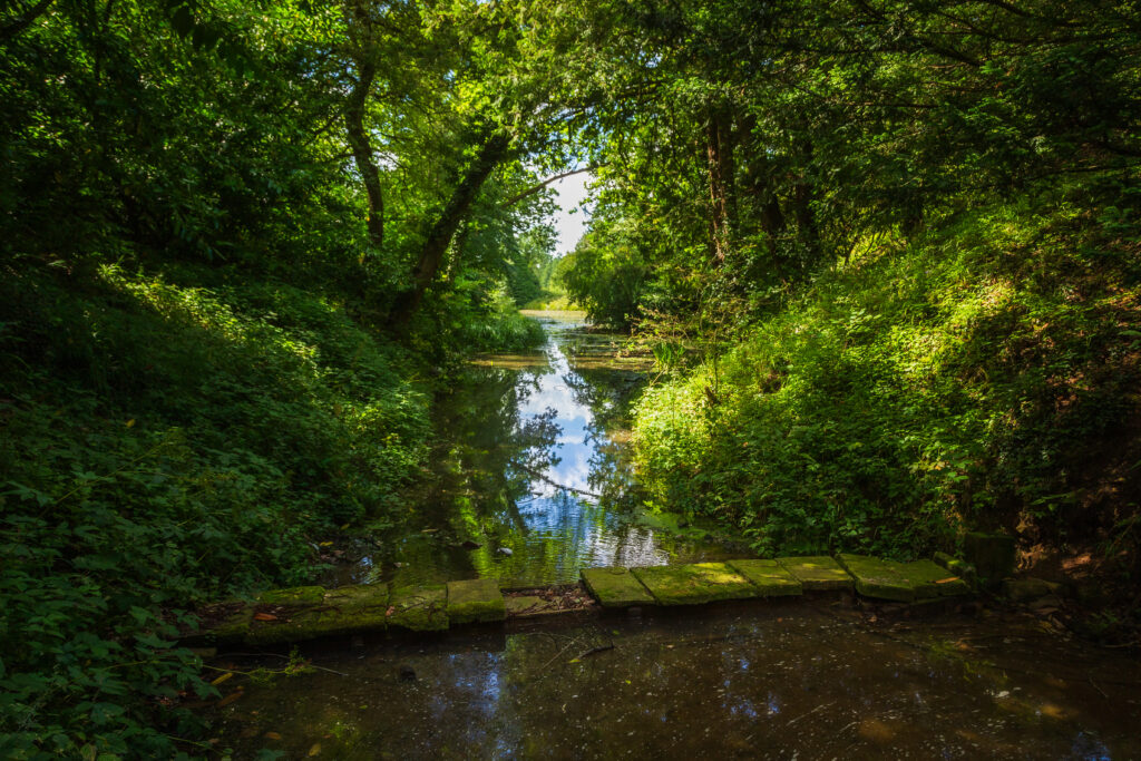 Serene landscape with tranquil stream under stone bridge surrounded by lush green trees sunlight reflections Wallpaper