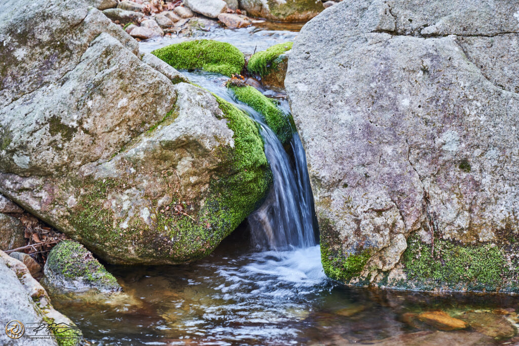Serene stream flowing between mossy stones vibrant green moss on rugged grey rocks wallpaper background