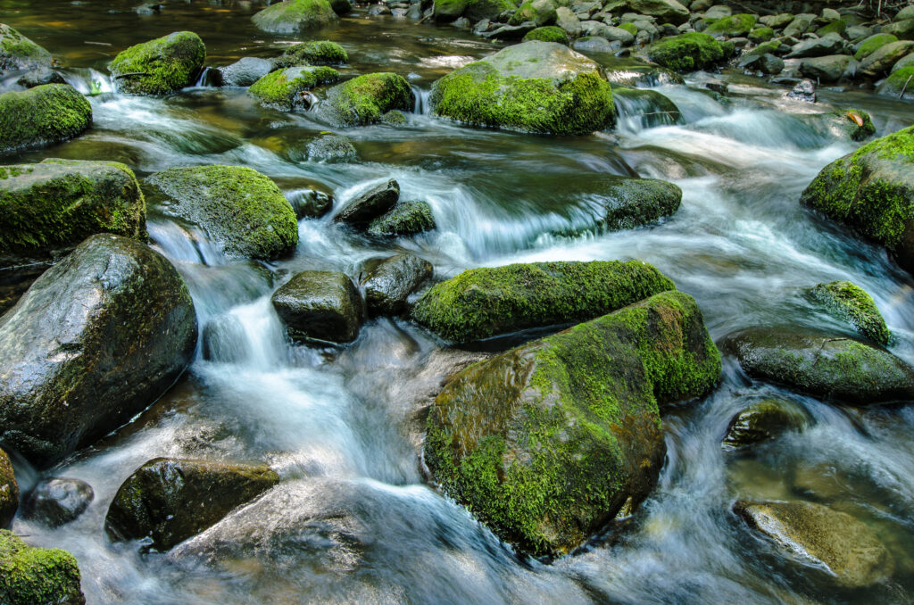 Serene stream flowing over mossy stones with clear water creating a tranquil natural scene Wallpaper