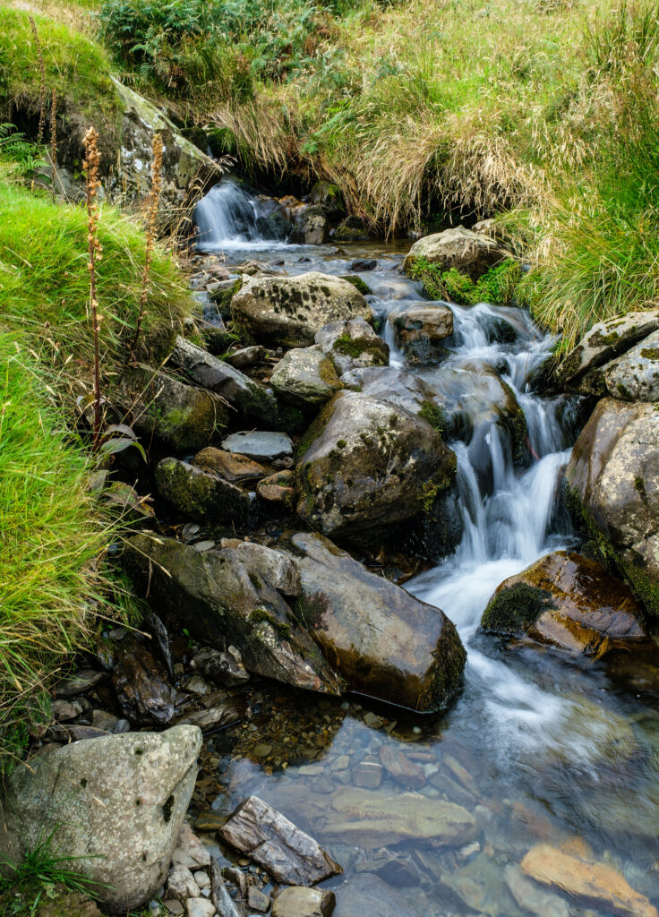 Serene stream flowing over smooth stones with lush green grass and natural foliage wallpaper background