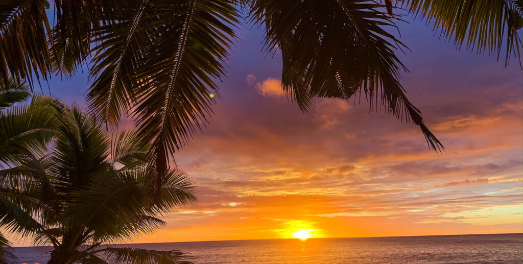Stunning Beach Wallpaper: Serene Sunset & Silhouetted Palm Trees