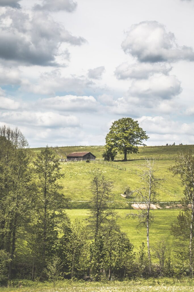 Peaceful summer glade with rustic house lush grass tall trees rolling hills and soft clouds wallpaper