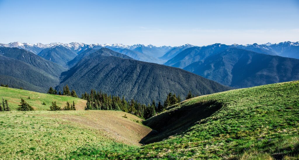 Serene summer landscape with green fields forests and blue mountains under clear bright sky wallpaper