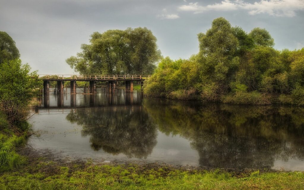 Rustic wooden bridge over calm reservoir surrounded by lush trees and green grass summer landscape Wallpaper