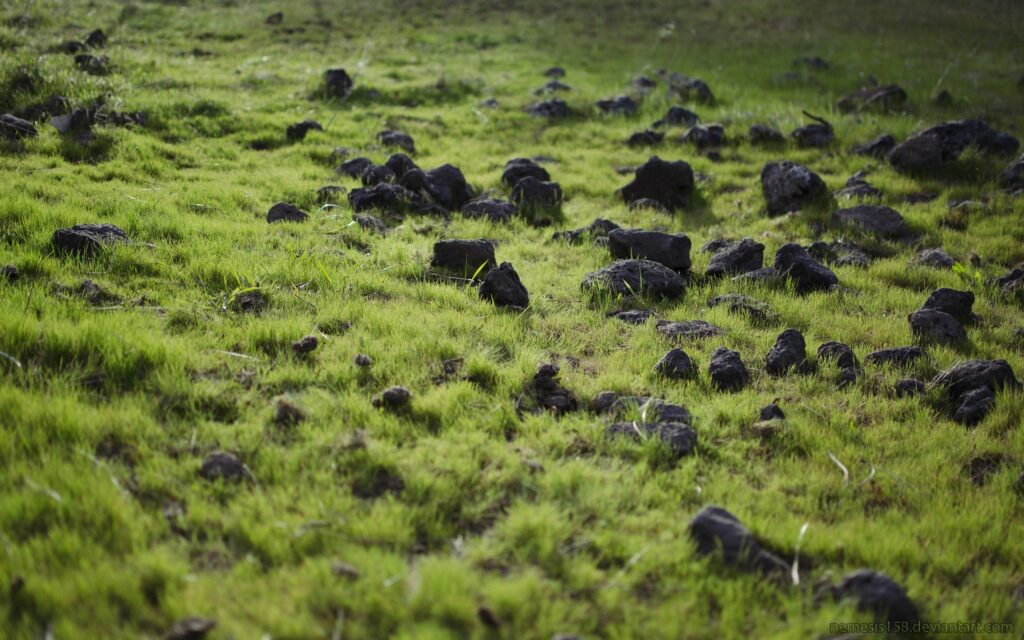 Serene summer landscape with lush green grass scattered dark rocks in soft sunlight wallpaper
