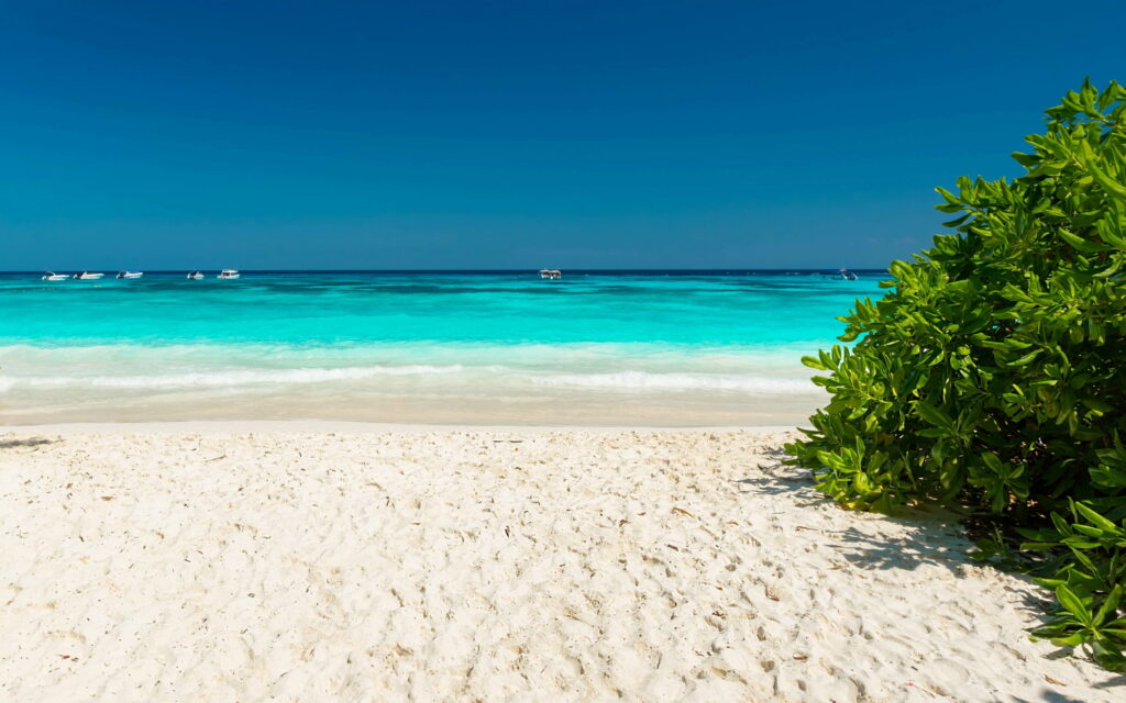 Escape to Paradise: A Serene Tropical Beach Retreat Wallpaper