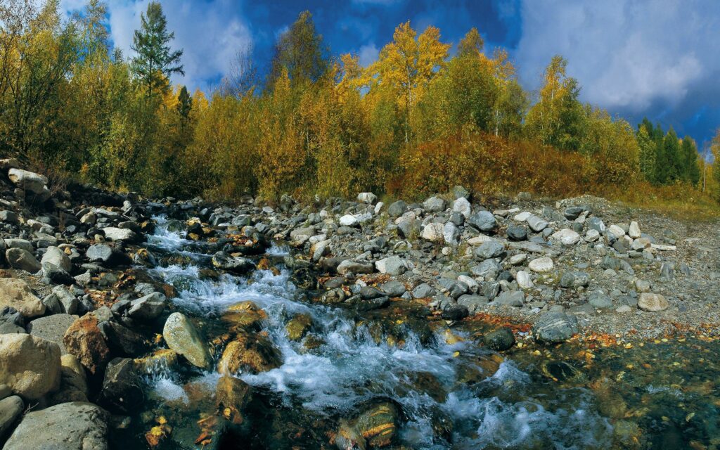 Clear summer river flowing over smooth stones with vibrant green and yellow foliage landscape Wallpaper