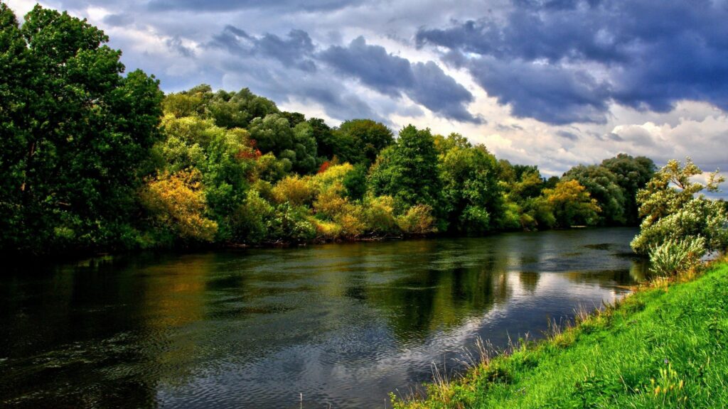 Serene summer river winding through lush green trees wild herbs under dramatic cloud sky wallpaper