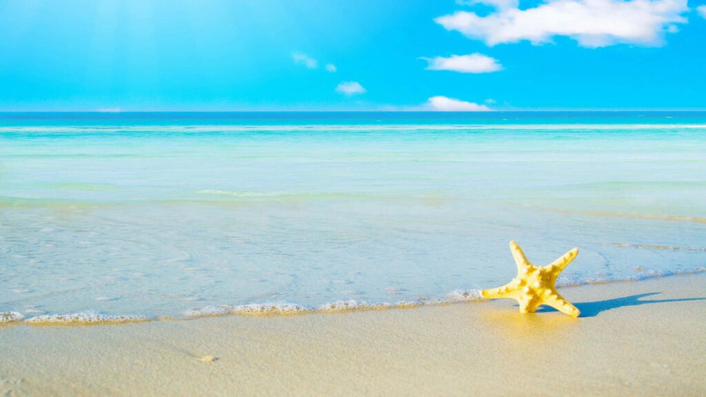 Serene Summer Seashore Wallpaper with Starfish on Sandy Beach