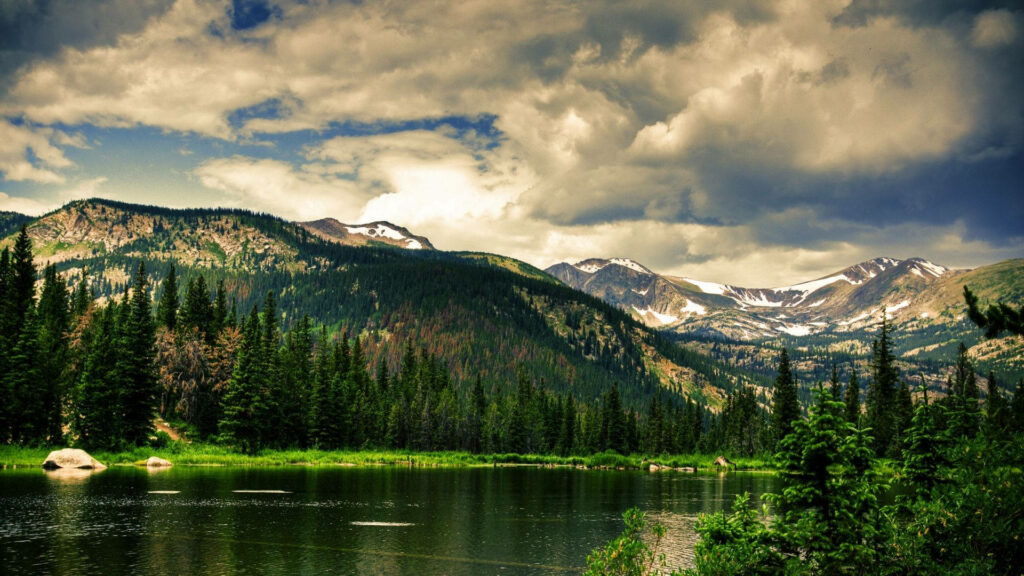 Summertime Serenity: Majestic Cloud-covered Mountains and Evergreen Forest Wallpaper