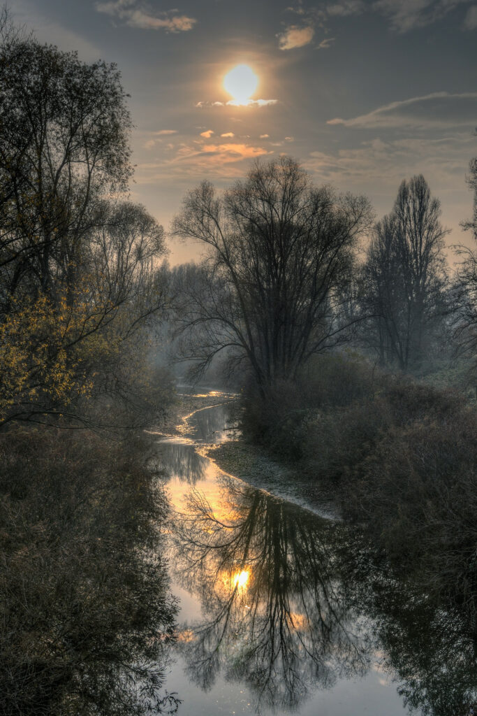 Sunlit tranquil river with bare trees reflecting on calm water serene nature wallpaper background