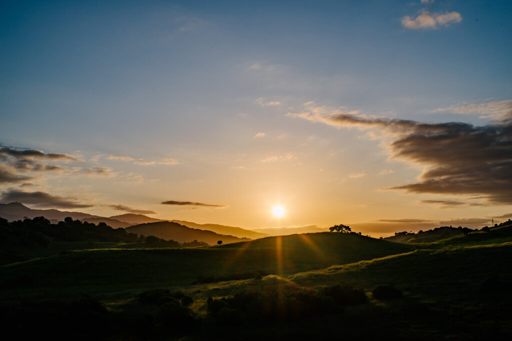 Serene sunrise over rolling green hills with soft grass and a clear sky with gentle clouds Wallpaper