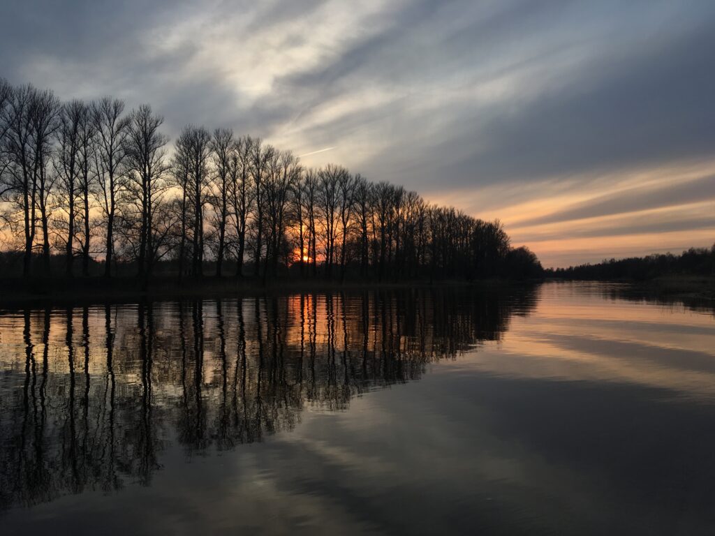 Serene sunrise over calm lake with silhouetted leafless trees and reflective water wallpaper background