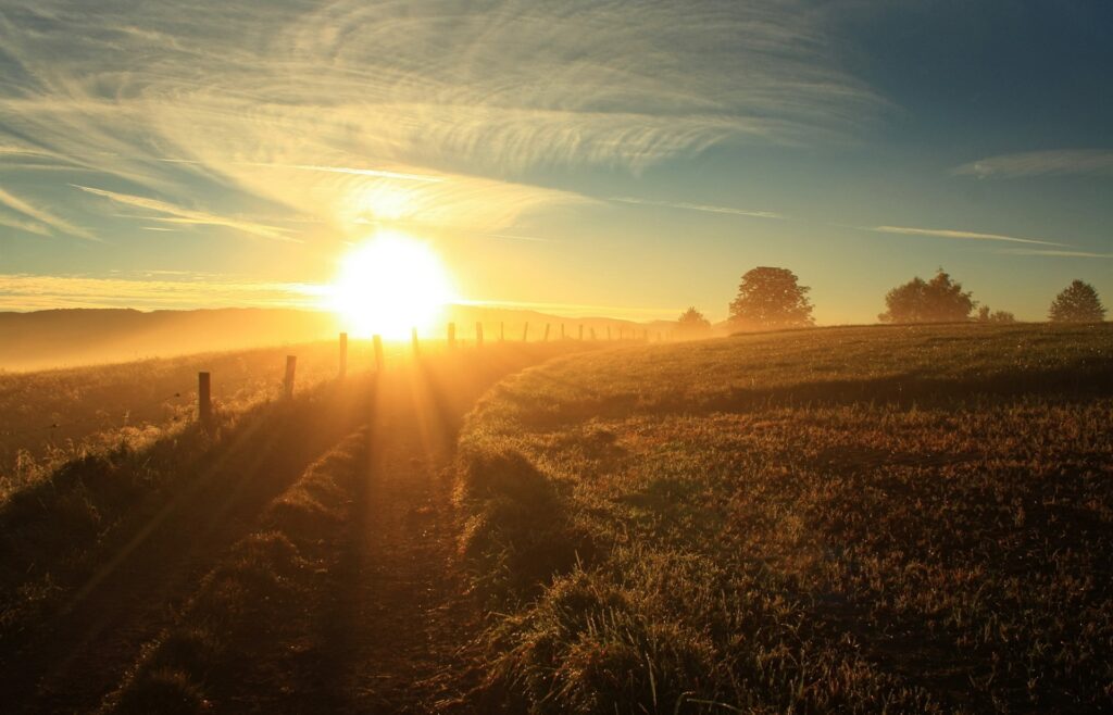 Sunrise over peaceful countryside with golden light rolling fields and rustic fence wallpaper background