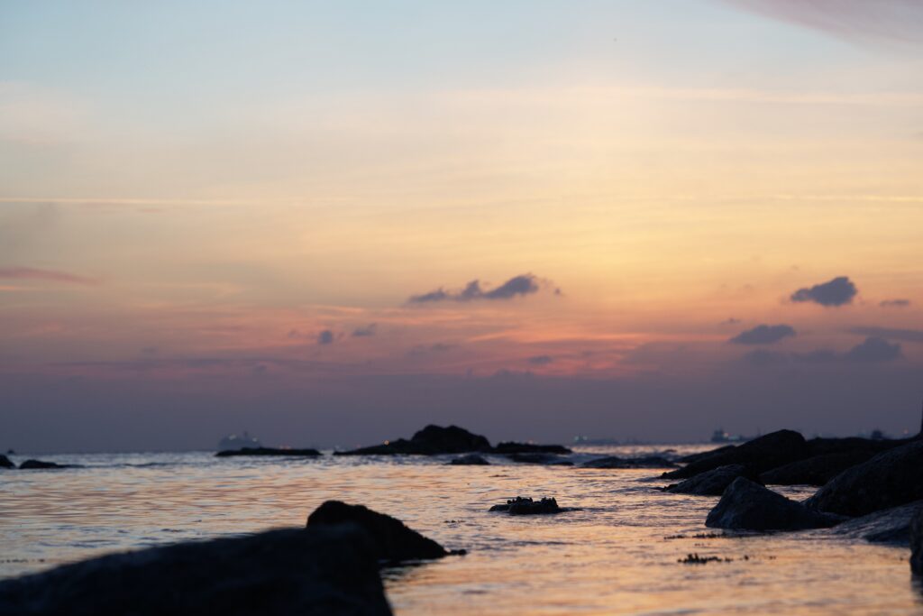 Sunrise sea landscape with pastel sky soft waves and dark rugged rocks on tranquil shore wallpaper