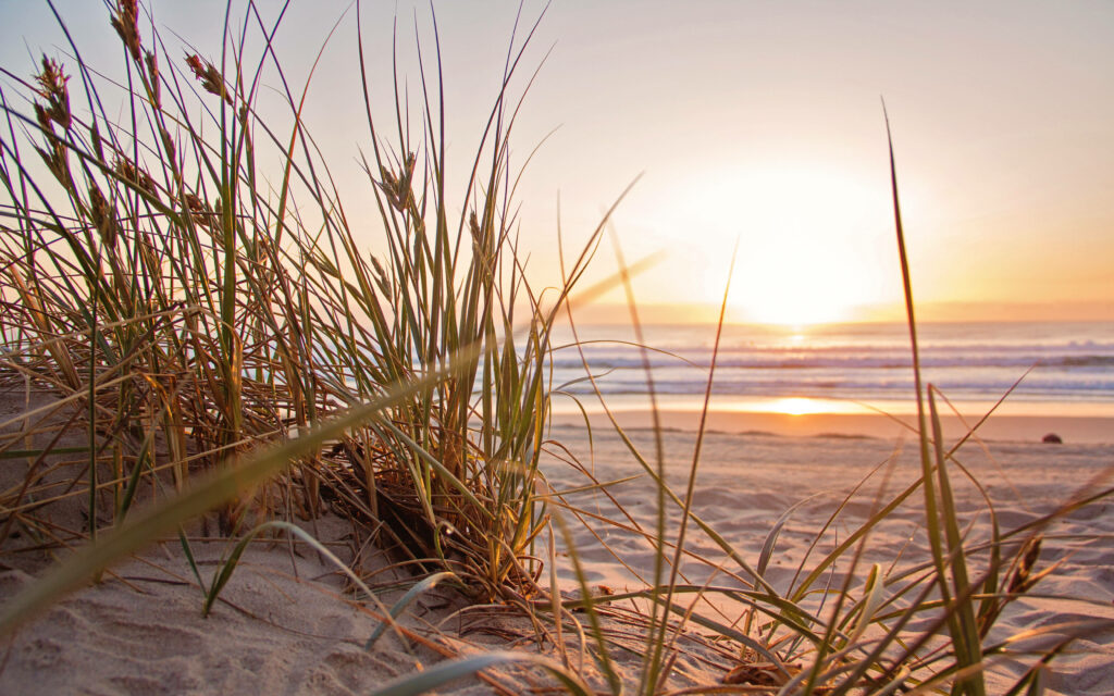 Serenity Unveiled: Twilight Horizon Embraced by Beachgrass and Sand Wallpaper