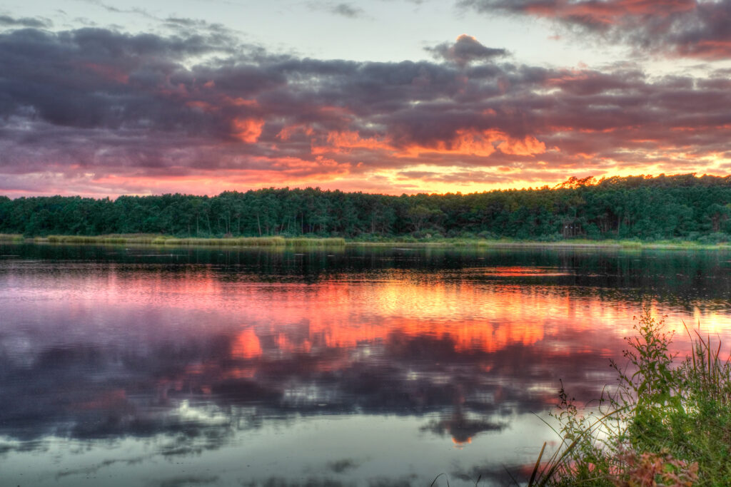 Sunset over dense forest reflected on calm lake vibrant landscape wallpaper background