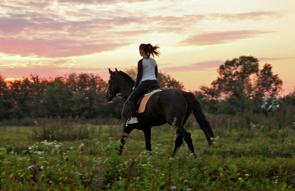 Serene Sunset: Woman on Horse in Meadow with Medieval Village Wallpaper