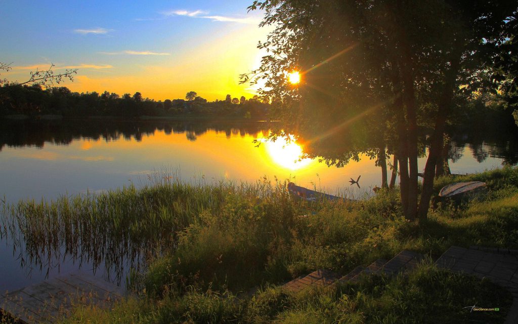 Serene sunset over tranquil lake with golden light green reeds and boat by tree silhouettes Wallpaper