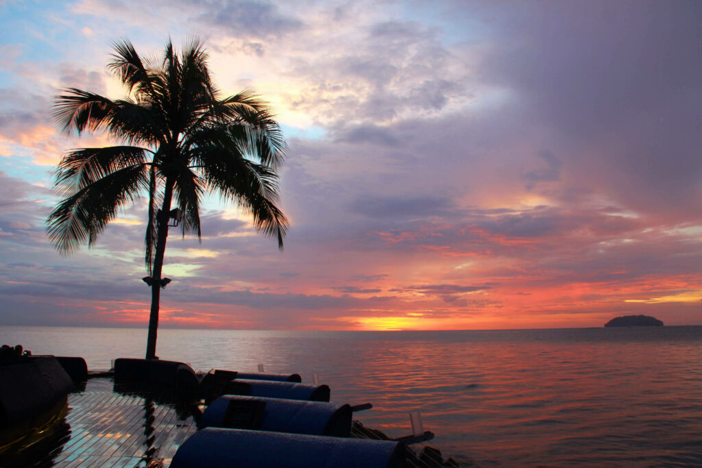 Vibrant Serene Sunset Wallpaper: Tropical Ocean and Coconut Tree