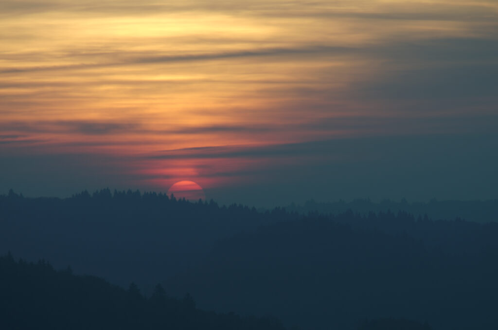 Sunset over blue spruce hills with soft clouds and tree silhouettes serene wallpaper background