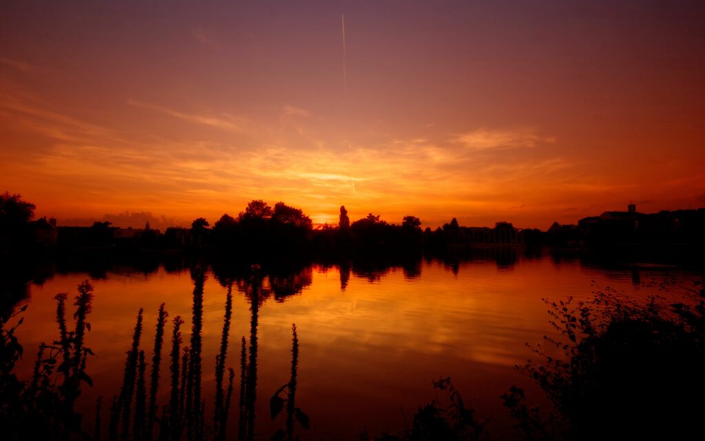 Serene sunset over calm lake with silhouetted trees and warm orange sky reflected on water wallpaper