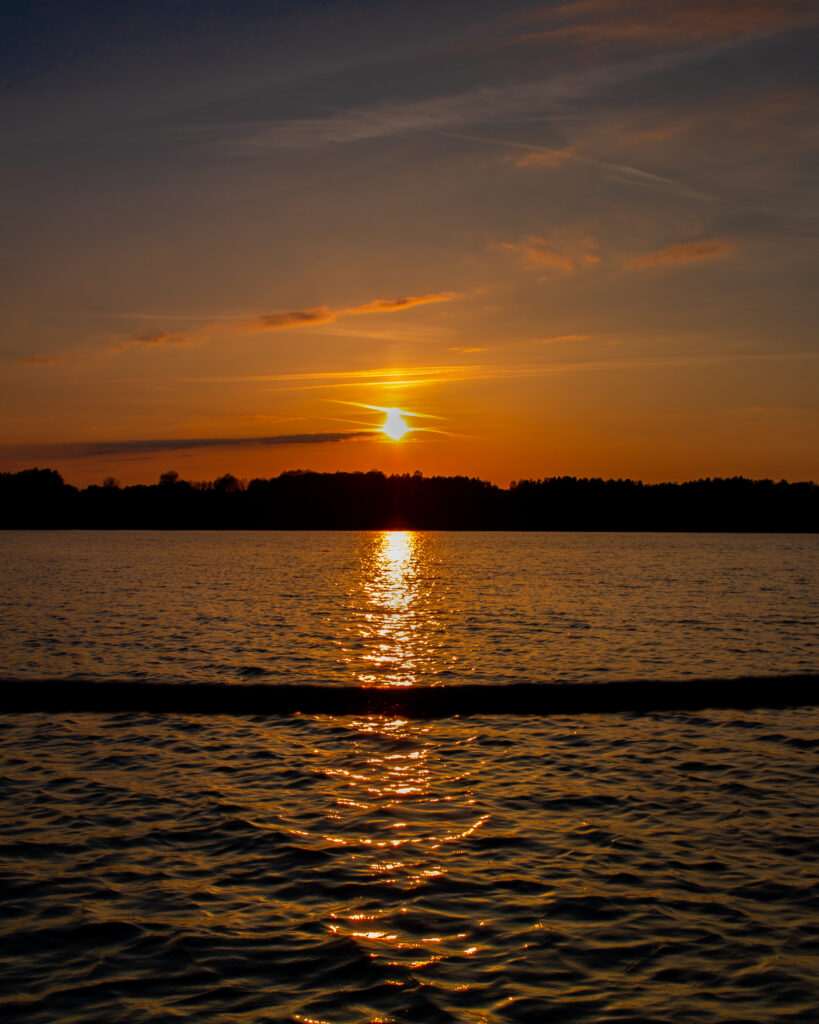 Glowing sunset over calm sea with warm orange hues and dark tree silhouettes horizon wallpaper