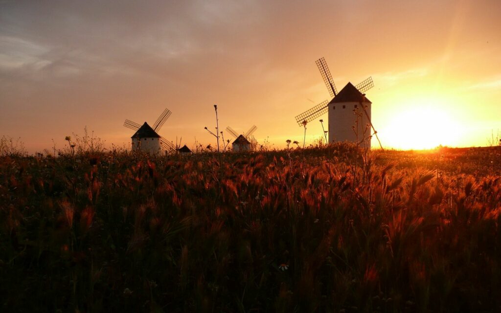 Serene sunset over a rural field with classic windmills and golden glowing swaying grass wallpaper