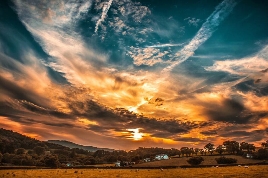 Breathtaking orange and gold sunset over sprawling field and distant trees peaceful nature view Wallpaper