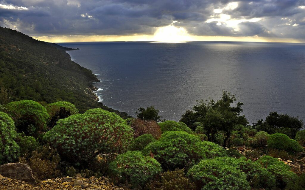 Serene sunset over calm sea with golden light clouds lush green shrubs and rugged coastline background Wallpaper