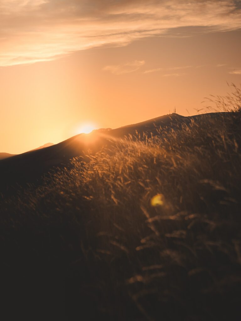 Serene sunset over sloping hill with golden rays illuminating tall grasses landscape wallpaper