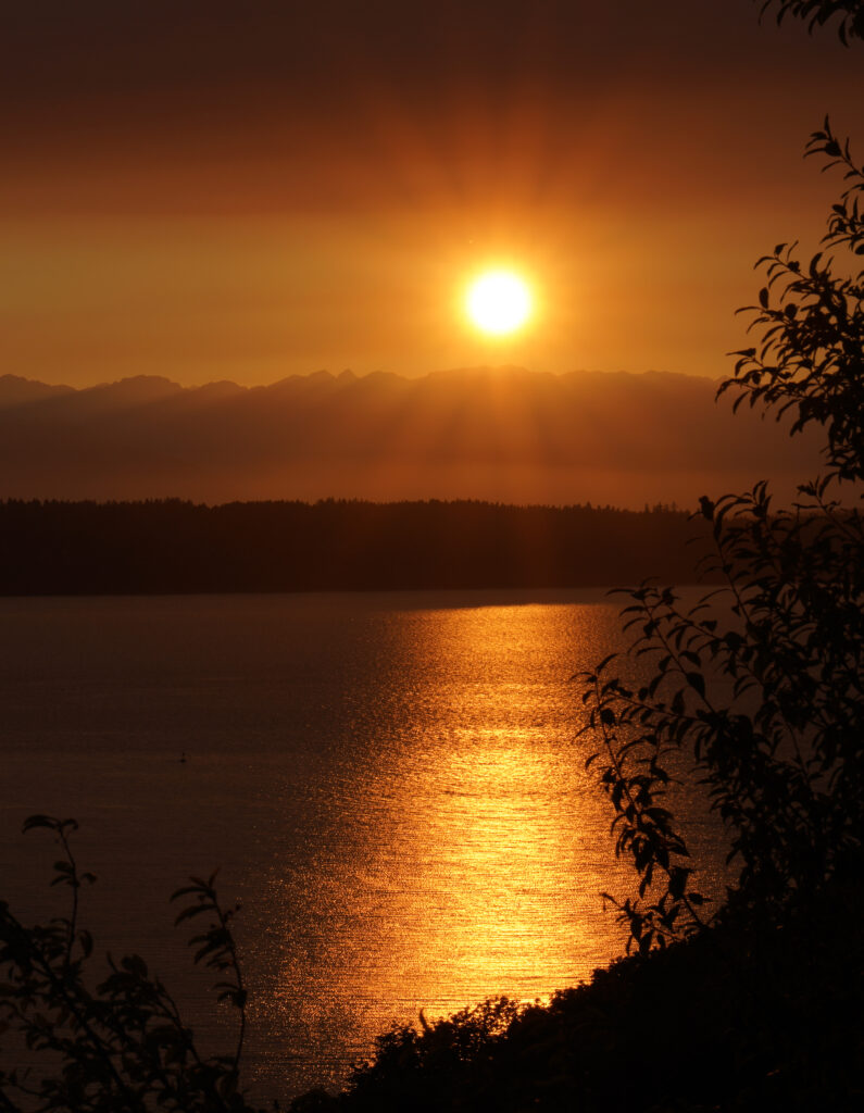 Serene sunset over tranquil lake with golden sun rays and silhouetted branches at dusk wallpaper